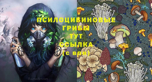 ГАЛЛЮЦИНОГЕННЫЕ ГРИБЫ Долгопрудный