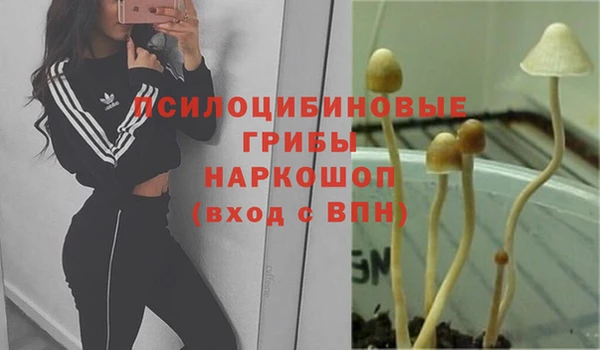 2c-b Майский