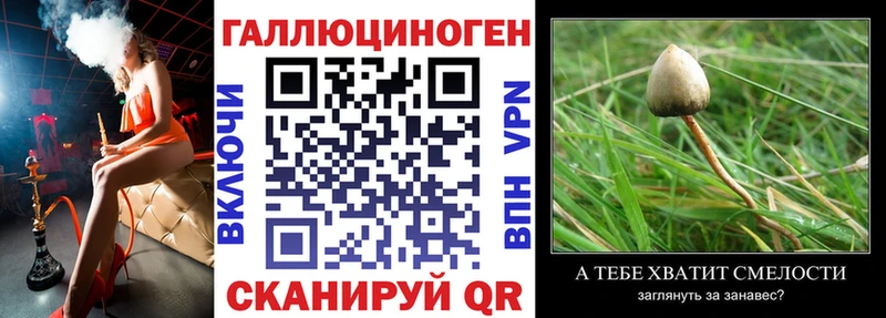 где купить наркоту  Южа  Псилоцибиновые грибы мицелий 